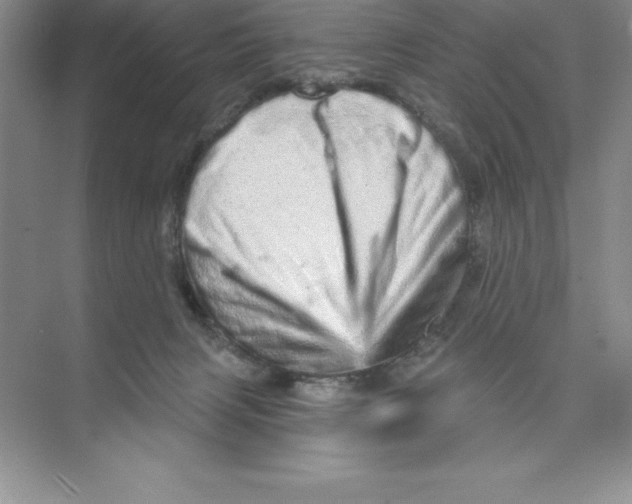 X0000074220079200609222018
