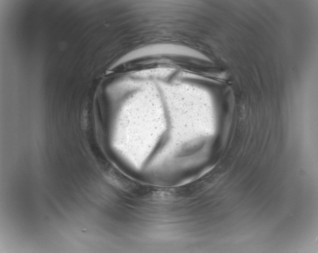 X0000074220080200609222018