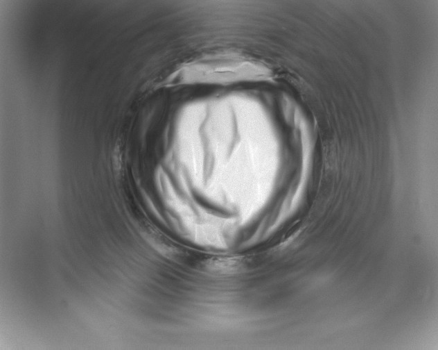 X0000074220086200609222018