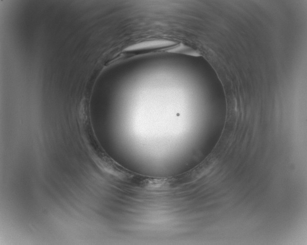 X0000074220088200609222018