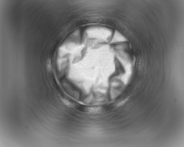 X0000074220089200609222018