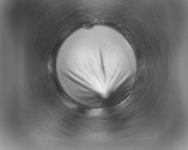 X0000074220090200609222018