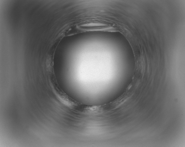 X0000074220092200609222018