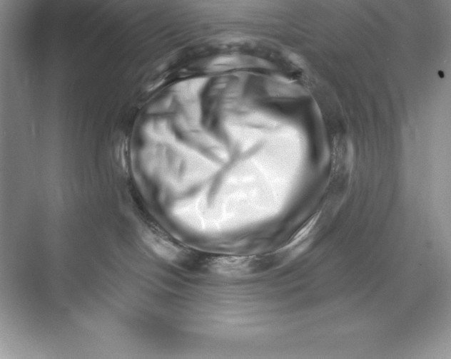 X0000074220094200609222018