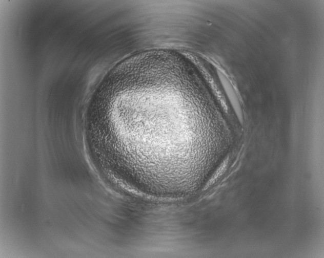 X0000074220097200609222018