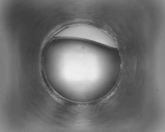 X0000074220101200609222018