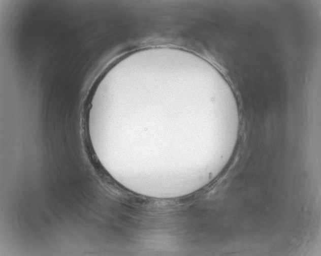 X0000074220103200609222018
