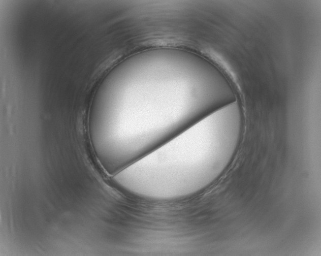 X0000074220105200609222017