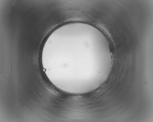 X0000074220108200609222017
