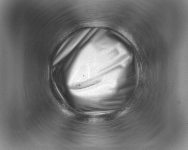 X0000074220109200609222017
