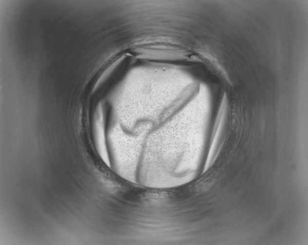 X0000074220110200609222017