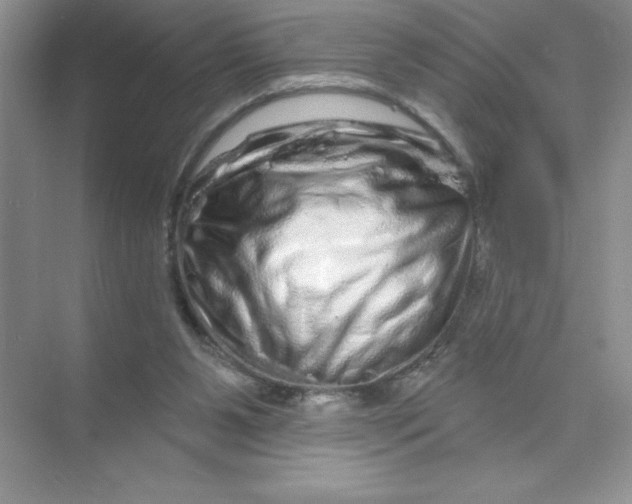 X0000074220111200609222017
