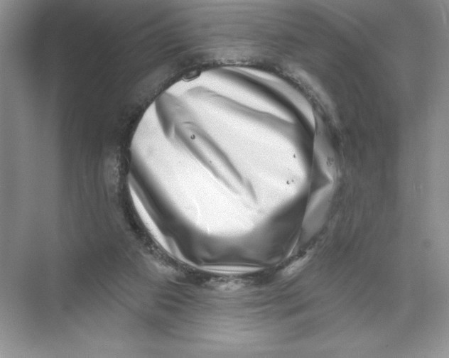 X0000074220113200609222017