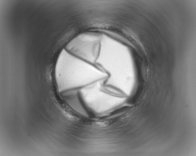 X0000074220114200609222017