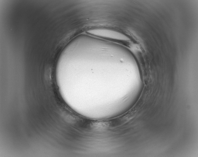 X0000074220115200609222017