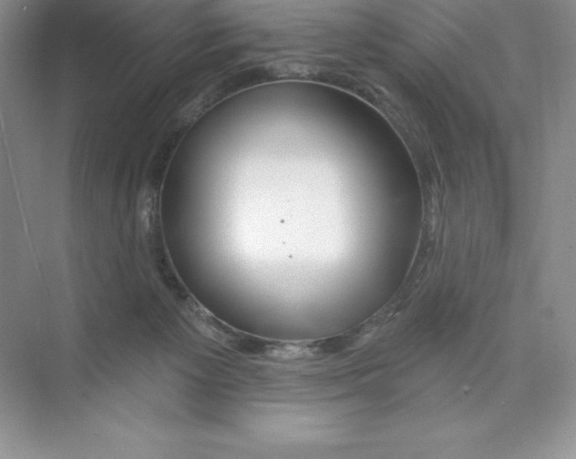 X0000074220125200609222017