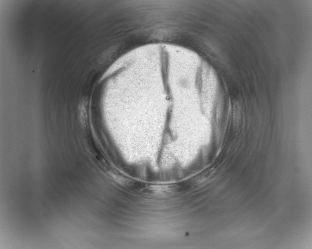 X0000074220127200609222017