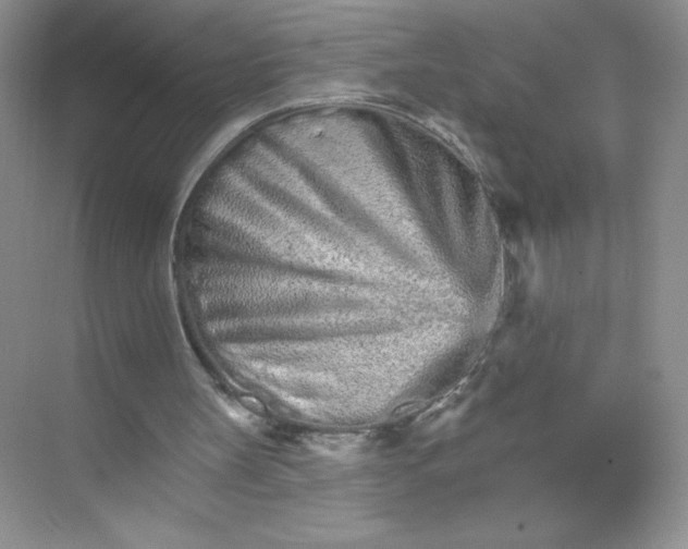 X0000074220147200609222016