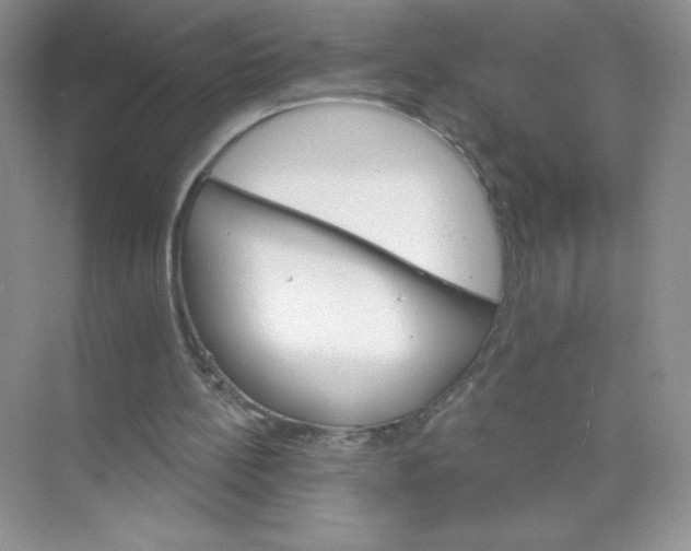 X0000074220148200609222016