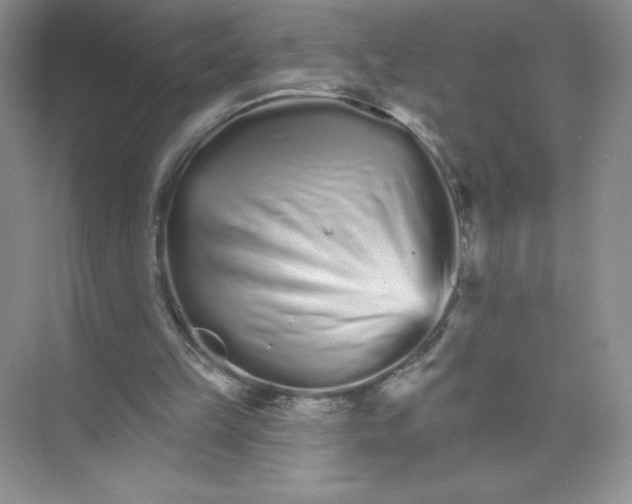 X0000074220149200609222016