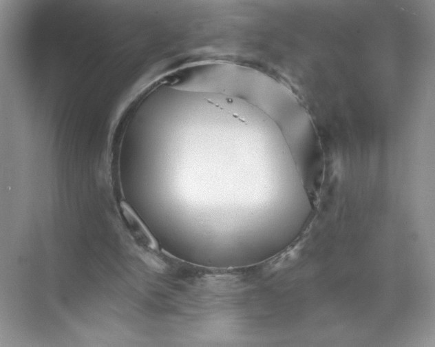 X0000074220150200609222016