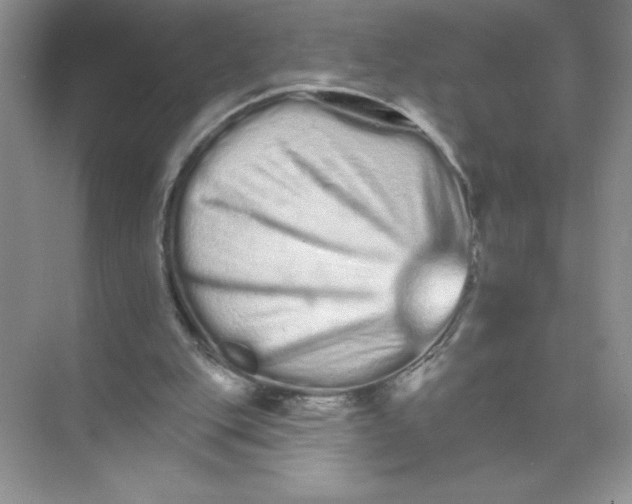 X0000074220151200609222016