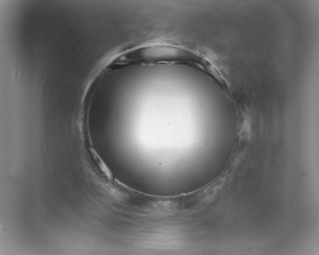 X0000074220152200609222016