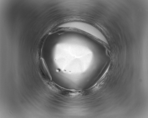 X0000074220158200609222016