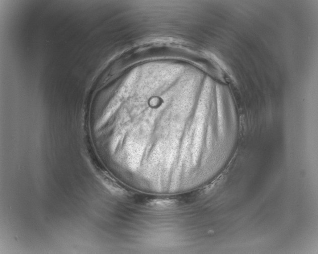 X0000074220159200609222016