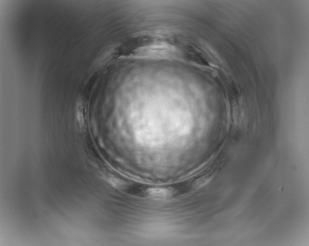 X0000074220169200609222016