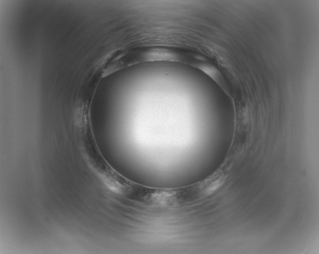 X0000074220172200609222016