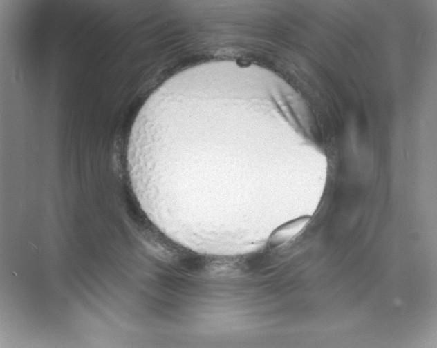 X0000074220175200609222017