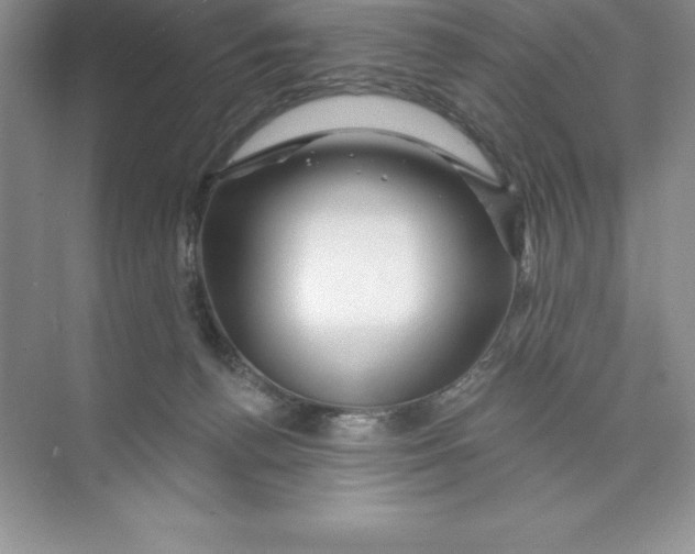 X0000074220176200609222017