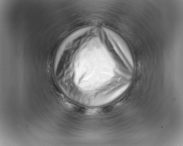 X0000074220177200609222017