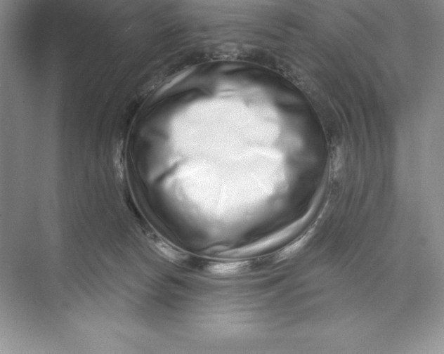 X0000074220178200609222017