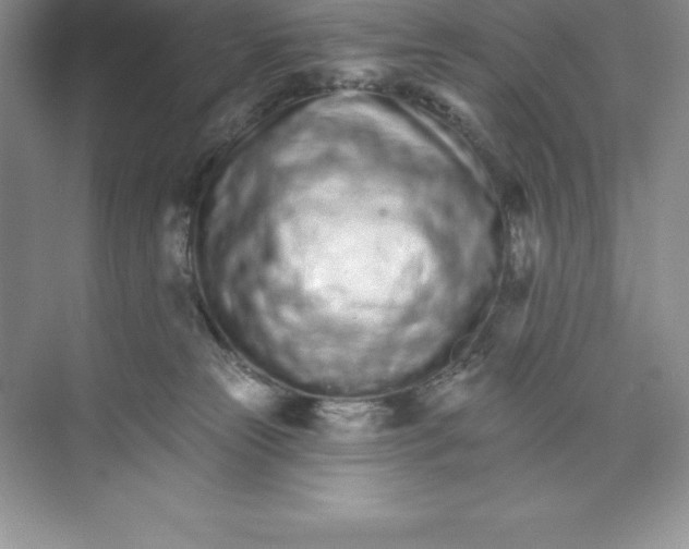 X0000074220181200609222017