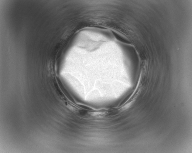 X0000074220182200609222017