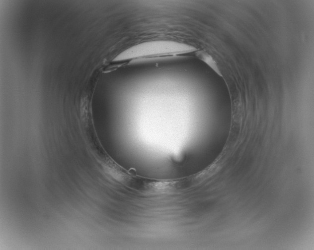 X0000074220184200609222017