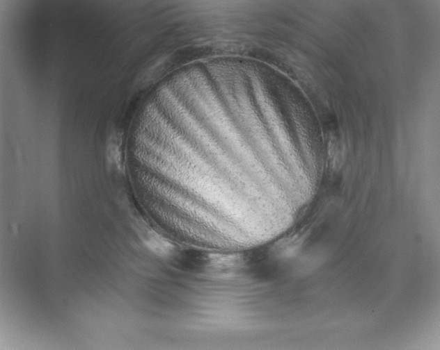X0000074220185200609222017