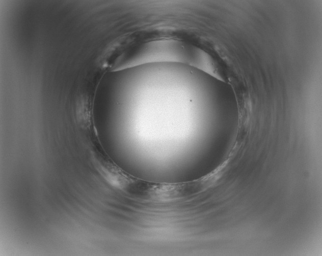 X0000074220186200609222017