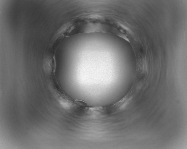 X0000074220188200609222017
