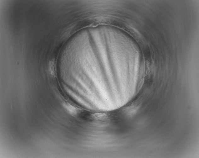 X0000074220189200609222017