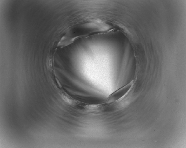 X0000074220192200609222017