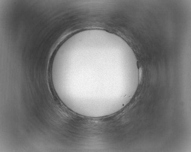 X0000074220195200609222016