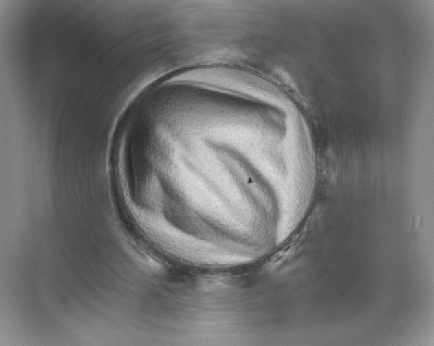 X0000074220196200609222016