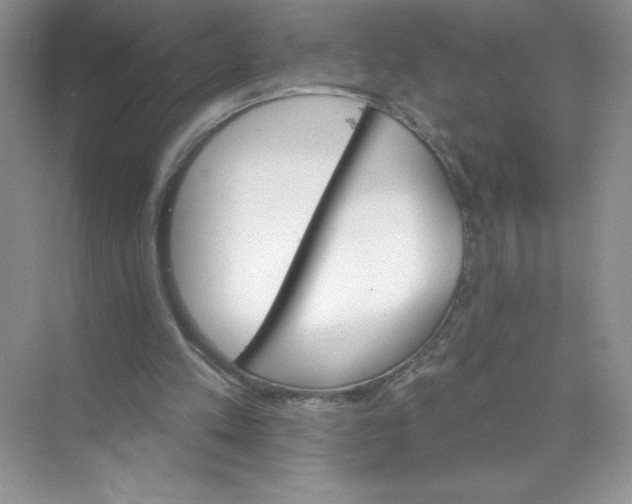 X0000074220197200609222016