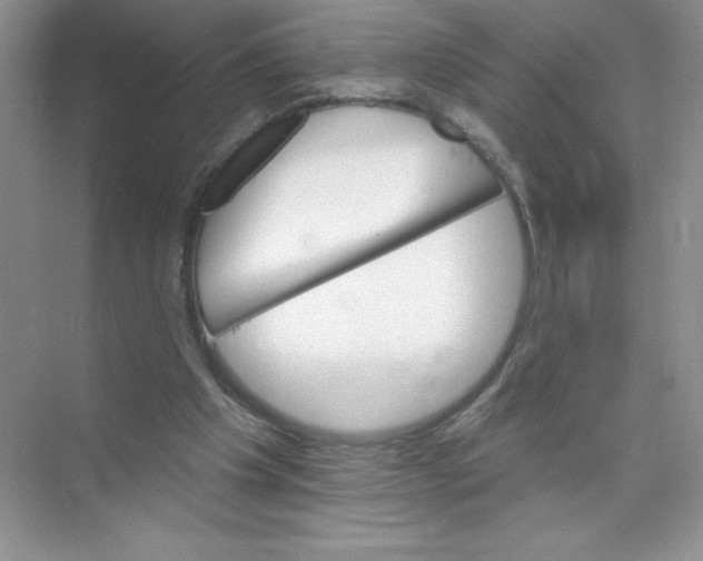X0000074220201200609222016