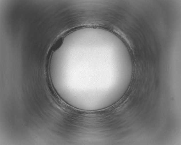 X0000074220203200609222016