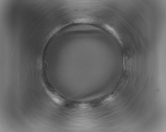 X0000074220204200609222016