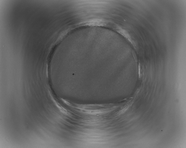 X0000074220205200609222016